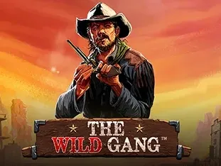 The Wild Gang game thumbnail