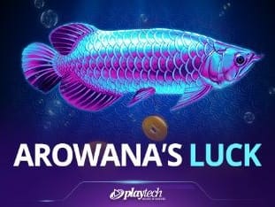 Arowanas Luck