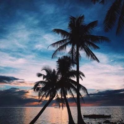 Taufik Hidayat avatar